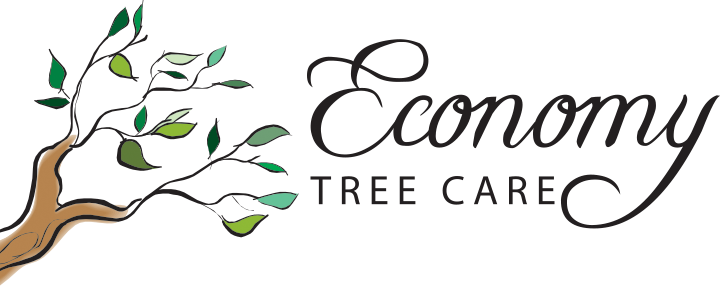 Logo for Economy Tree Care