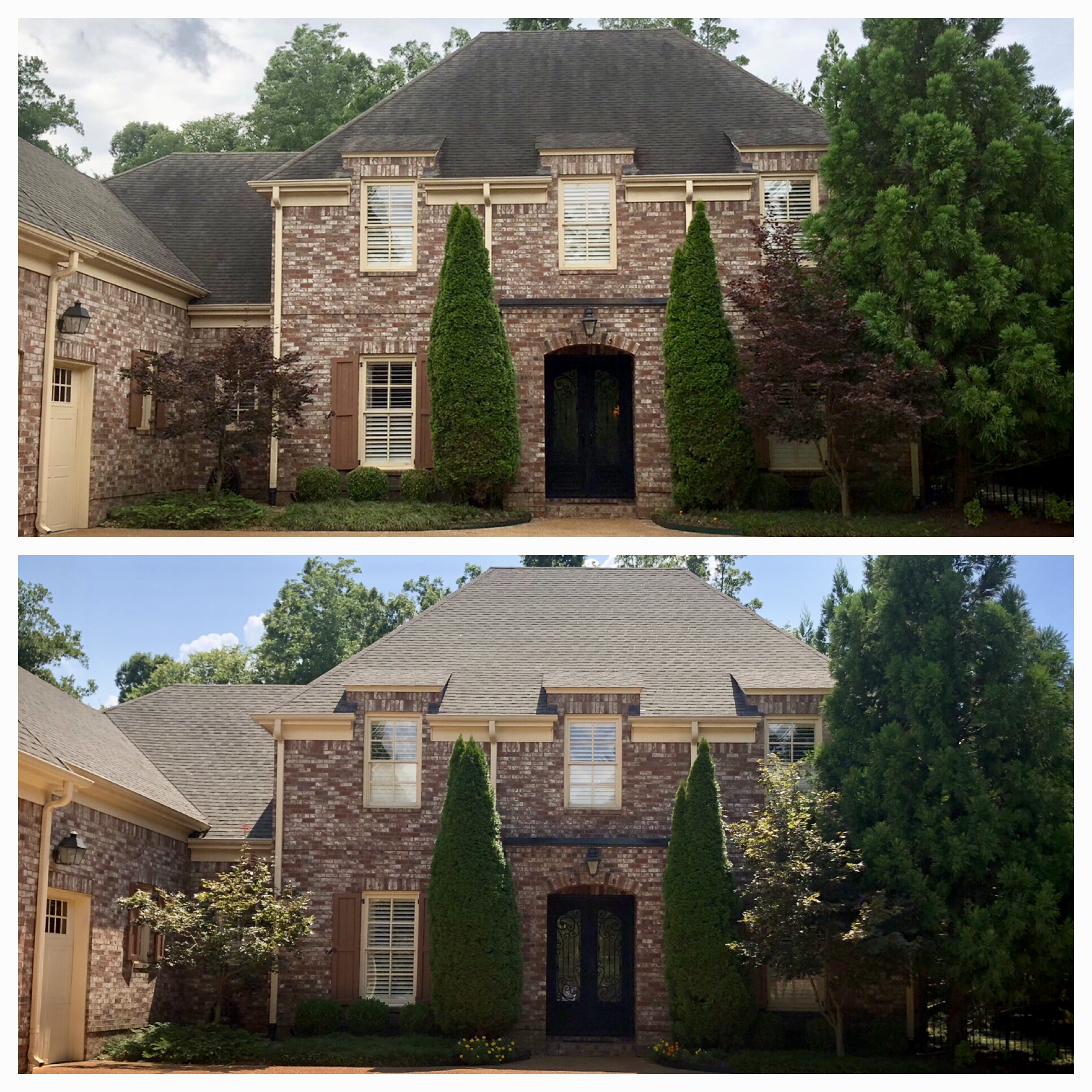 Avatar for Roof Cleaners, LLC