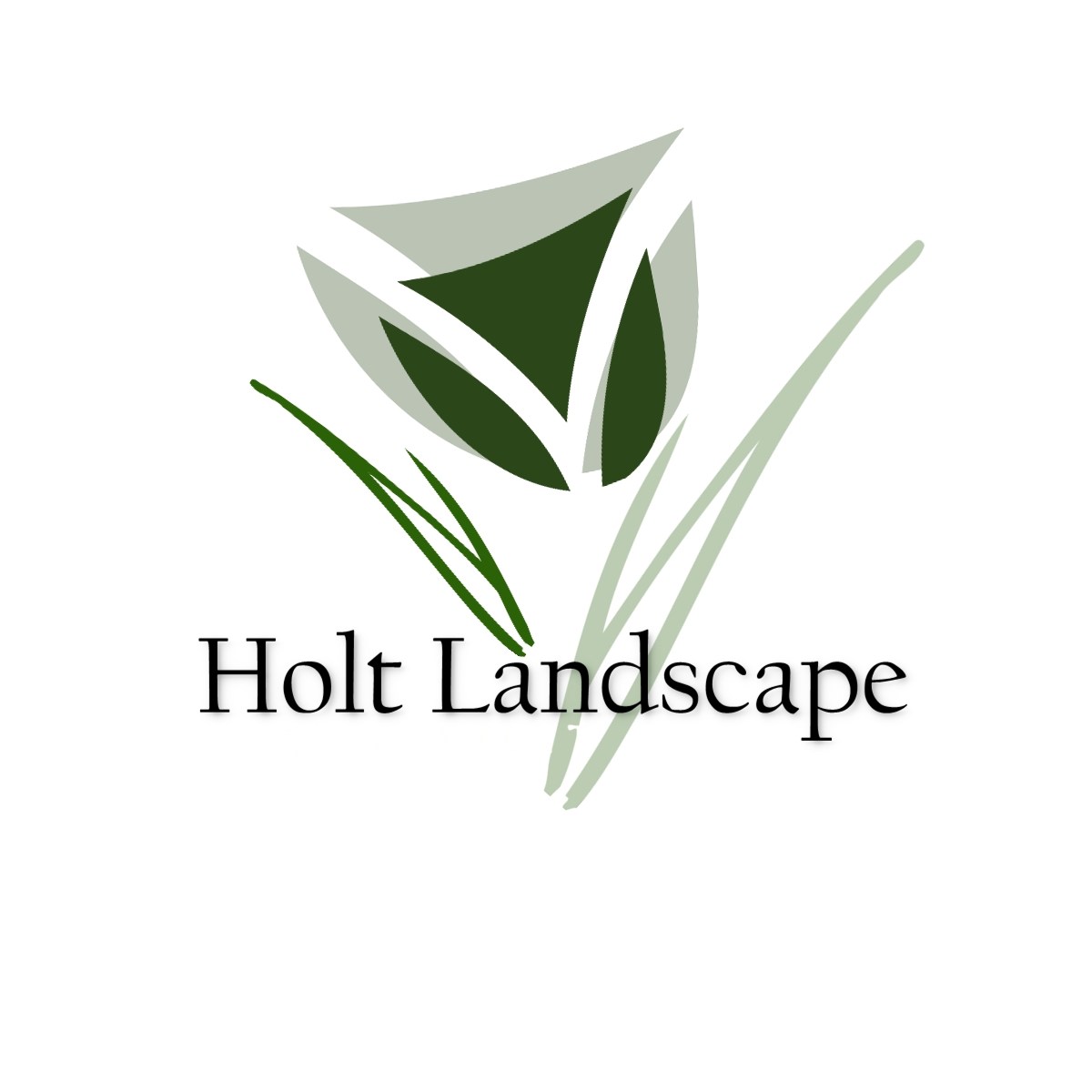 Avatar for Holt Landscape