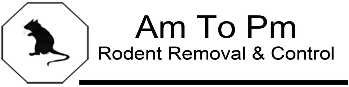 Avatar for Am To Pm R.R.C