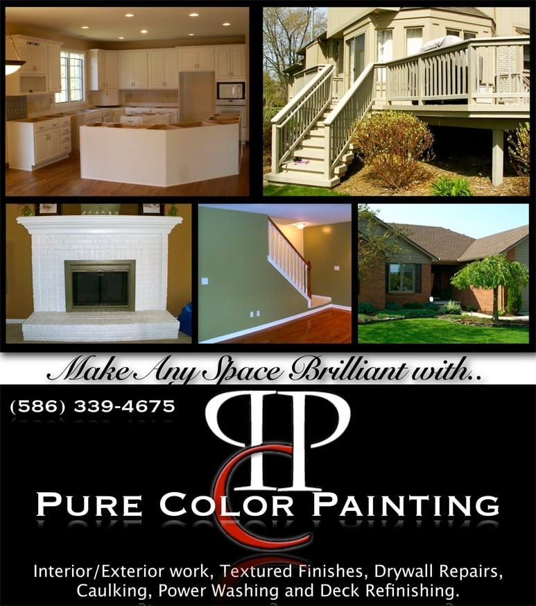 Logo for Pure Color Painting