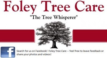 Avatar for Foley Tree Care