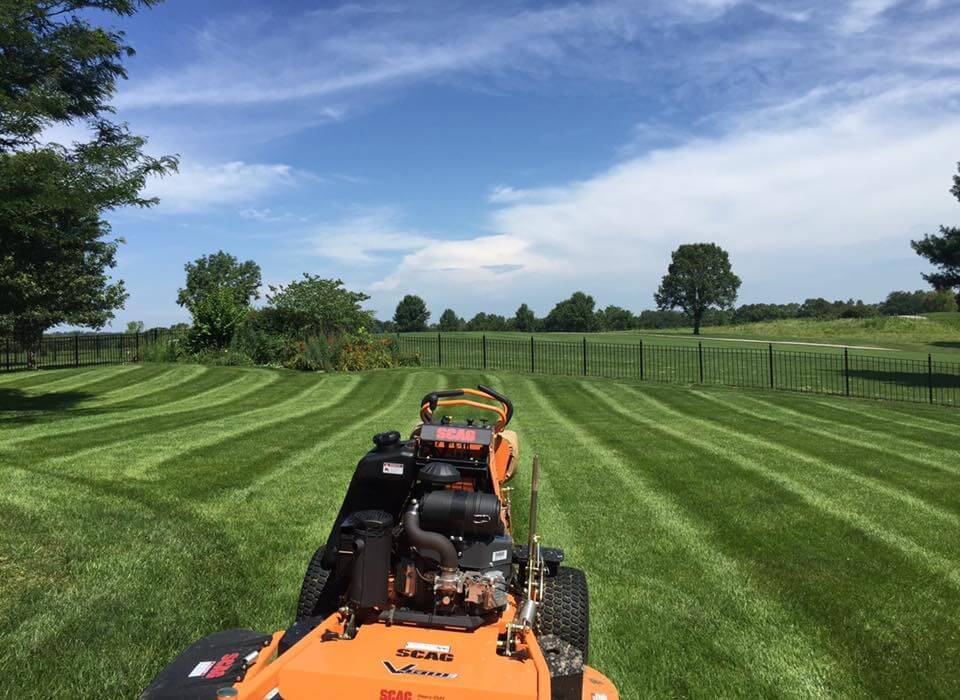 Logo for D&D LAWNCARE