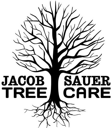 Logo for Jacob Sauer Tree Care LLC