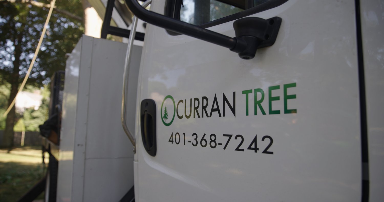 Avatar for Curran Tree Inc.