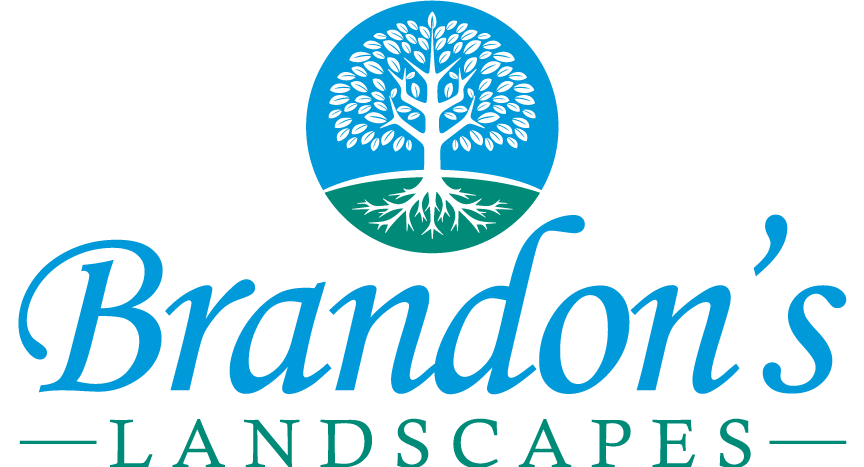 Avatar for Brandon’s Landscapes, Inc.