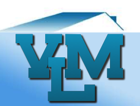 Avatar for VLM construction