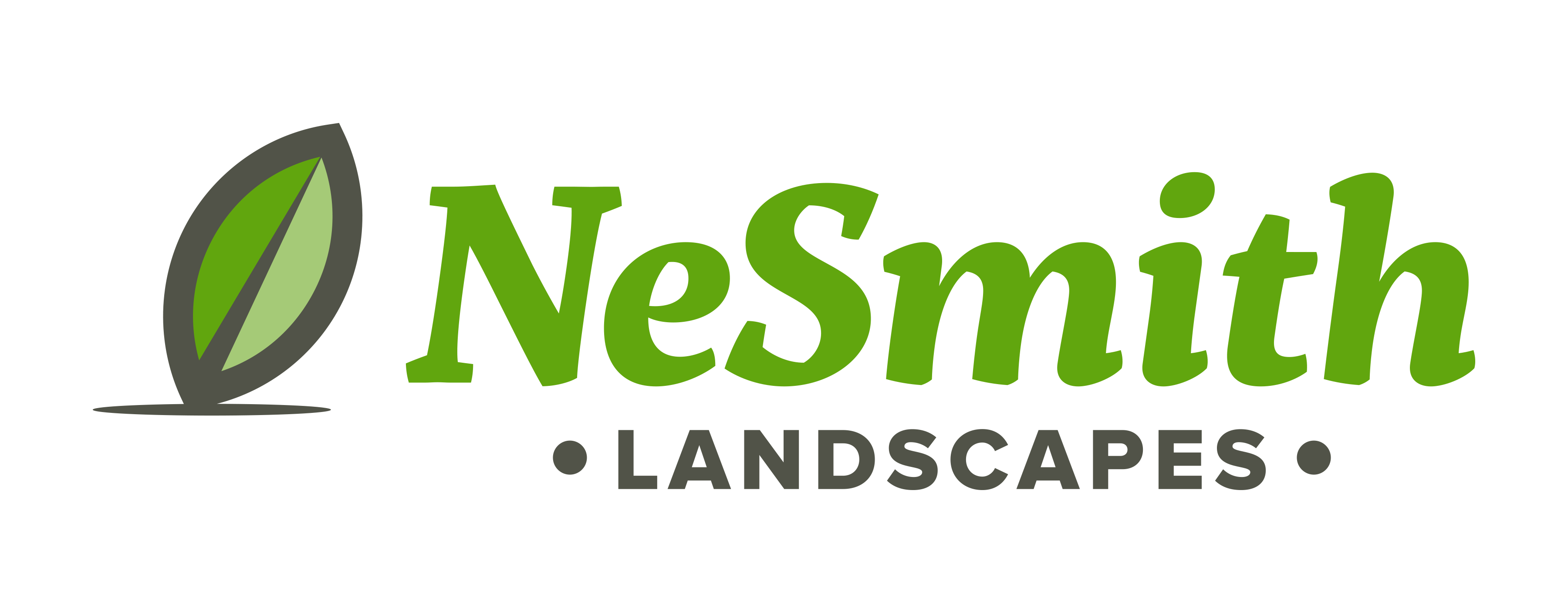 Logo for NeSmith Landscapes