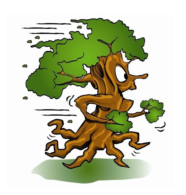Tiny Tims Tree and Land Inc logo
