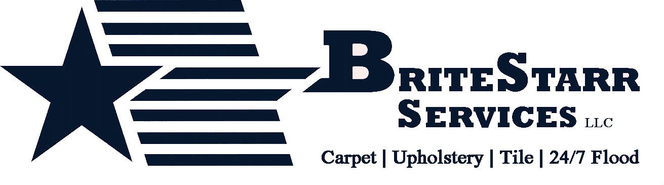 Avatar for Britestarr Services