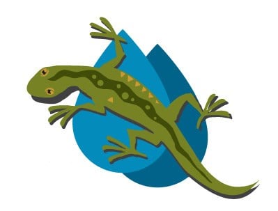 Avatar for Green Lizard Landscape LLC