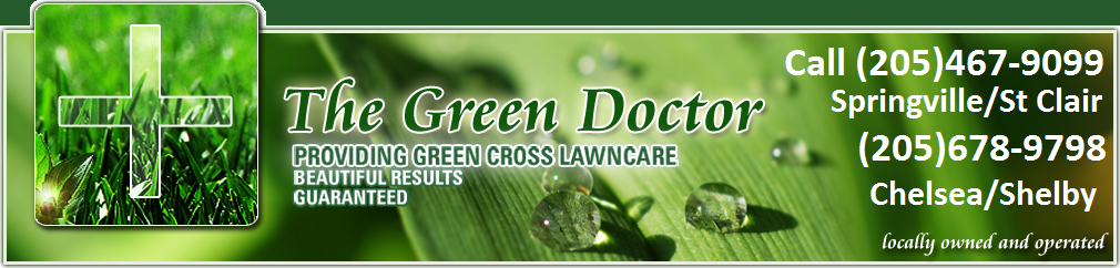 Avatar for The Green Doctor