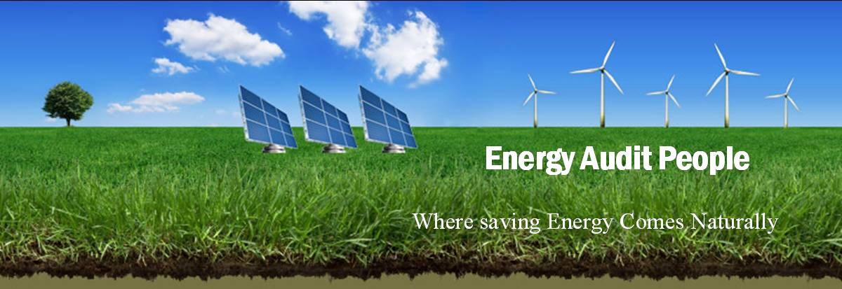 Avatar for Energy Audit People