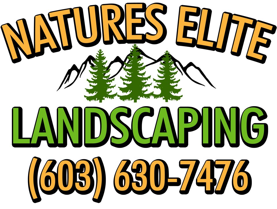 Avatar for Natures Elite Landscaping