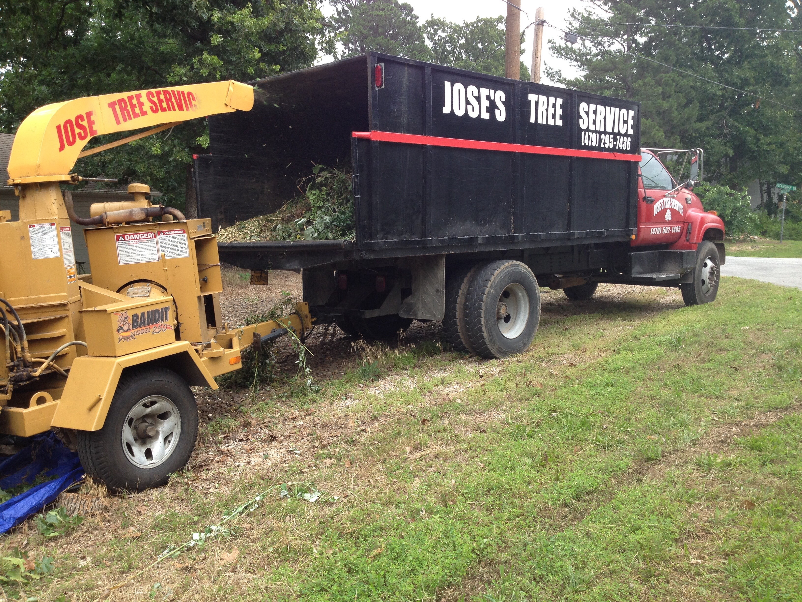 Avatar for Jose's Tree Service