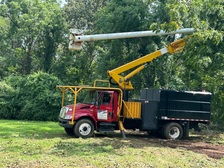 Avatar for Viewpoint Tree Service