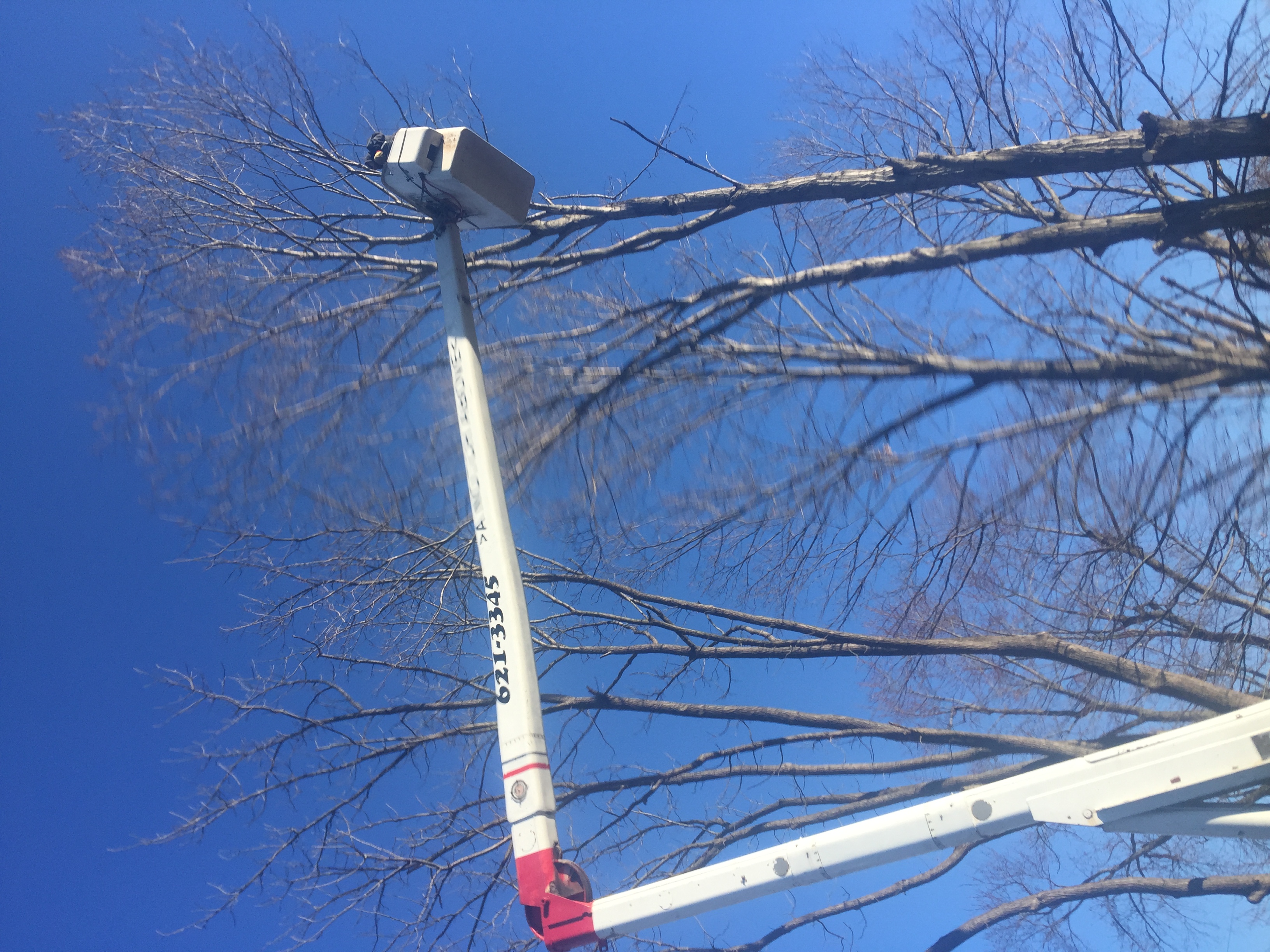 A Notch Above The Rest logo