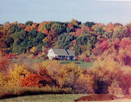 Avatar for Matthew Maloney