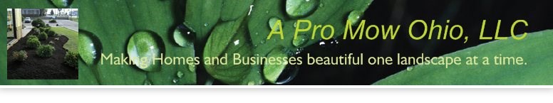 Avatar for A Pro Mow Ohio LLC