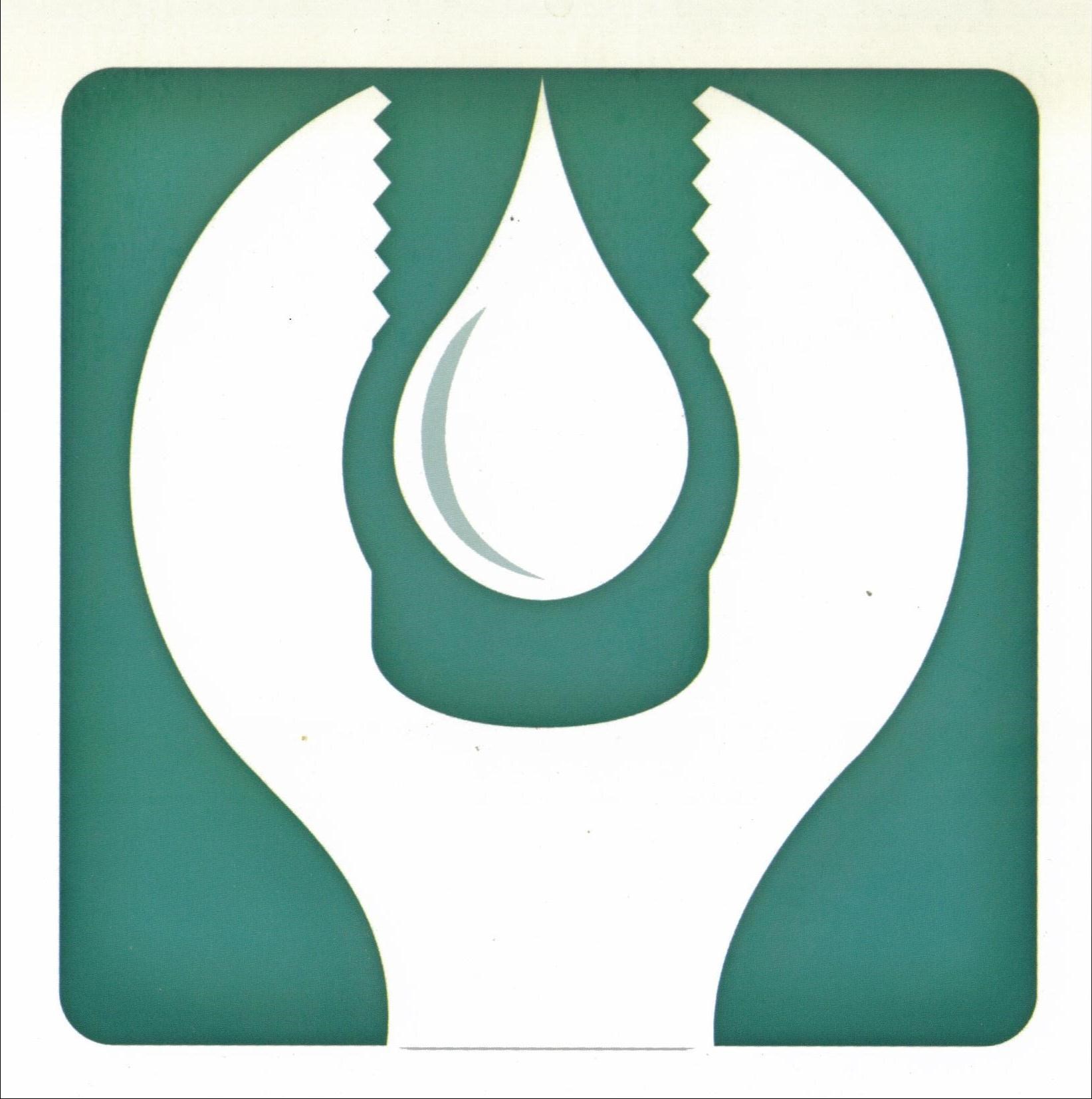 Logo for Affordable Plumbing Repair
