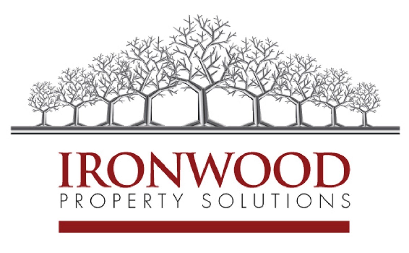 Avatar for Ironwood Property Solutions Inc
