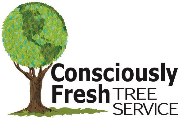 Avatar for Consciously Fresh Tree Service