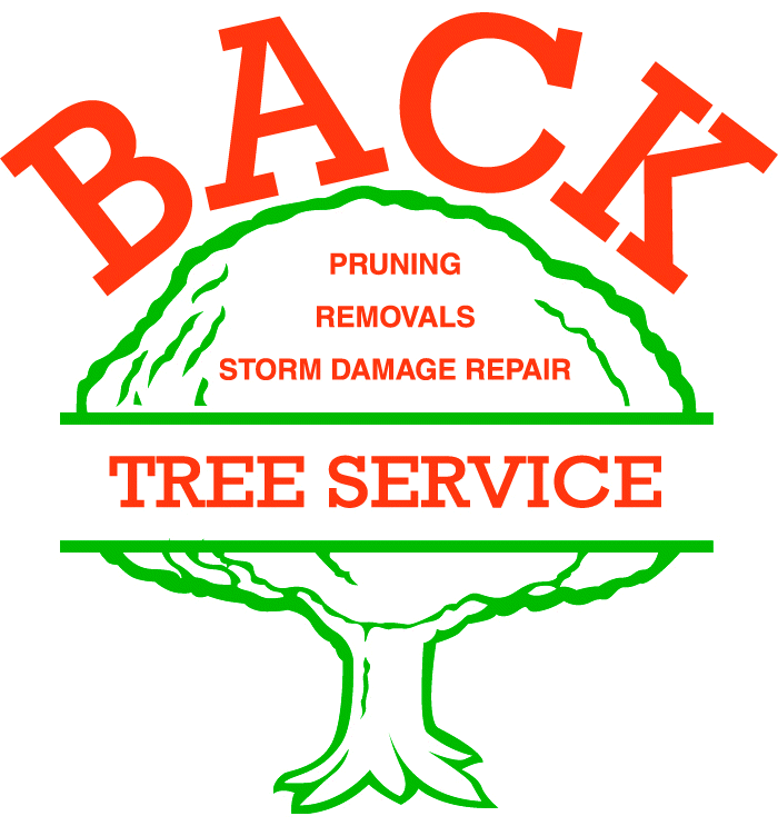Avatar for BACK TREE SERVICE