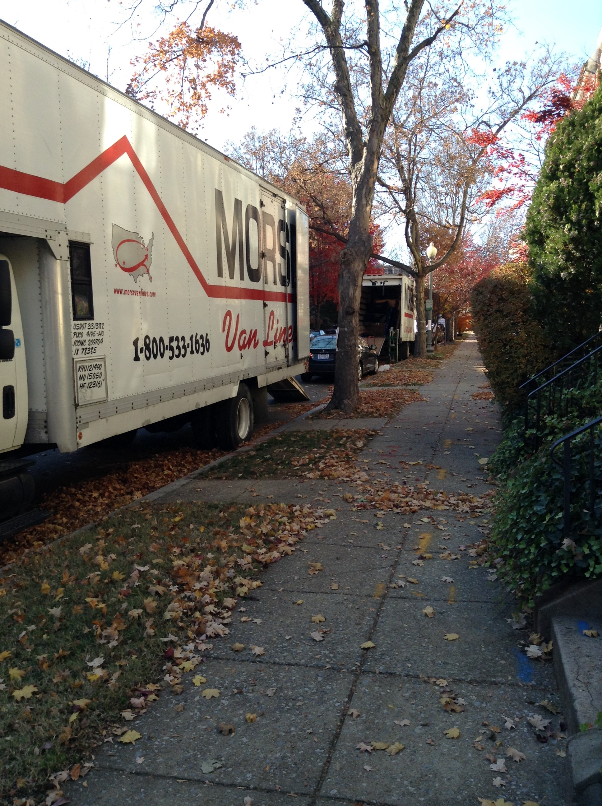 Avatar for MORSE VAN LINES OF USA