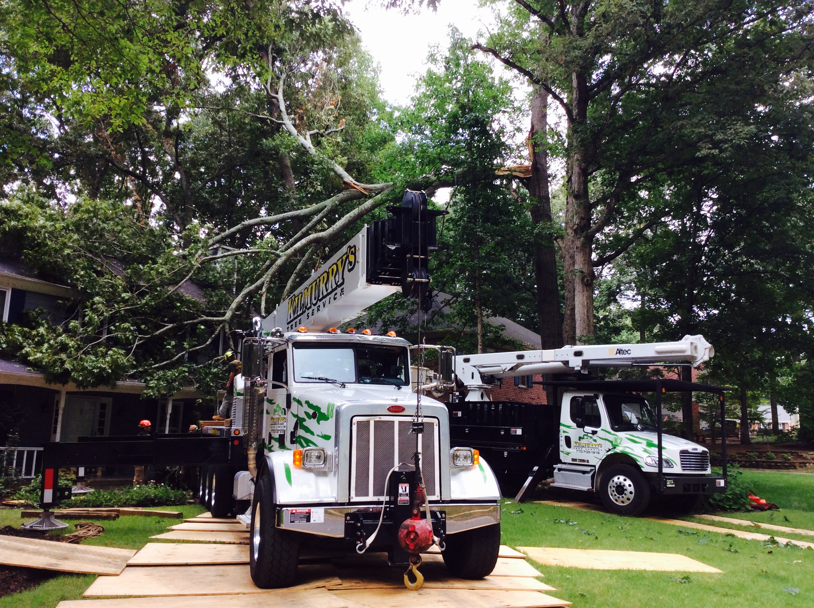 Logo for KILMURRY'S TREE SERVICE
