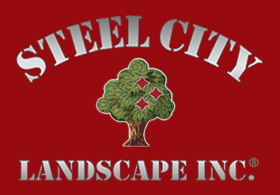 Avatar for STEEL CITY LANDSCAPE, INC.