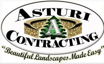 Avatar for Asturi Contracting