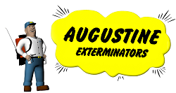 Avatar for Augustine Services Inc