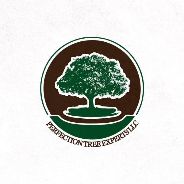 Avatar for Perfection Tree Experts llc