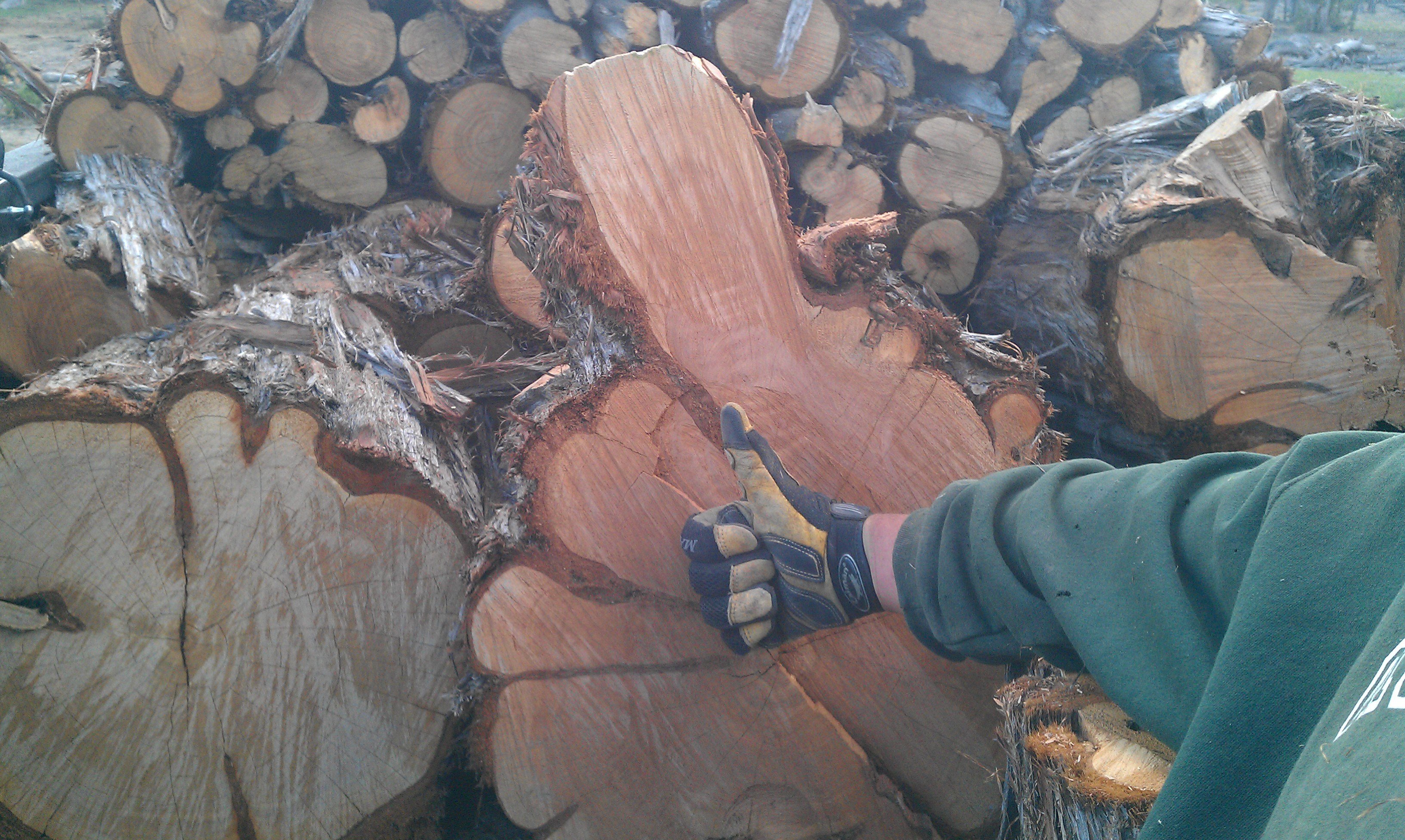 Avatar for Good Hands