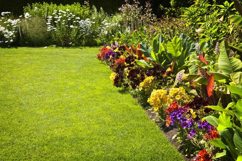 Avatar for M B Landscaping, LLC
