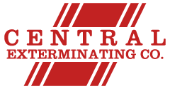 Avatar for CENTRAL EXTERMINATING
