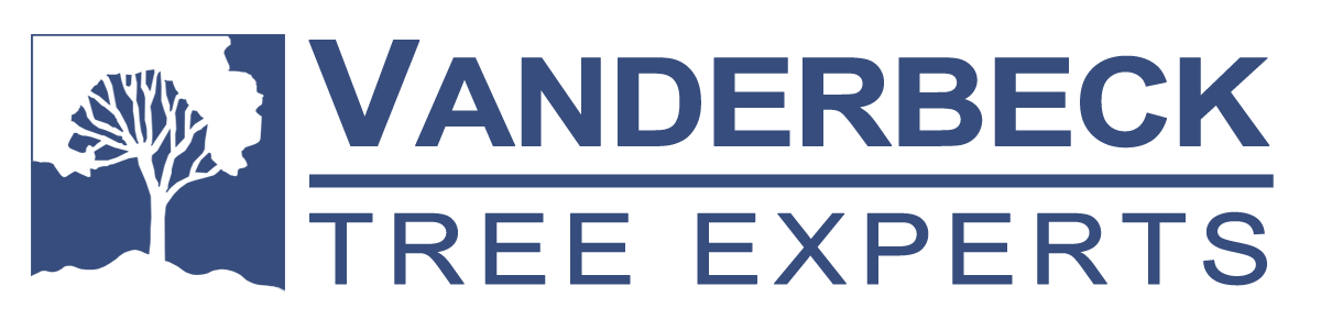 Logo for Vanderbeck Tree Experts