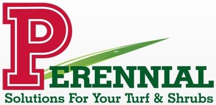 Avatar for Perennial Services