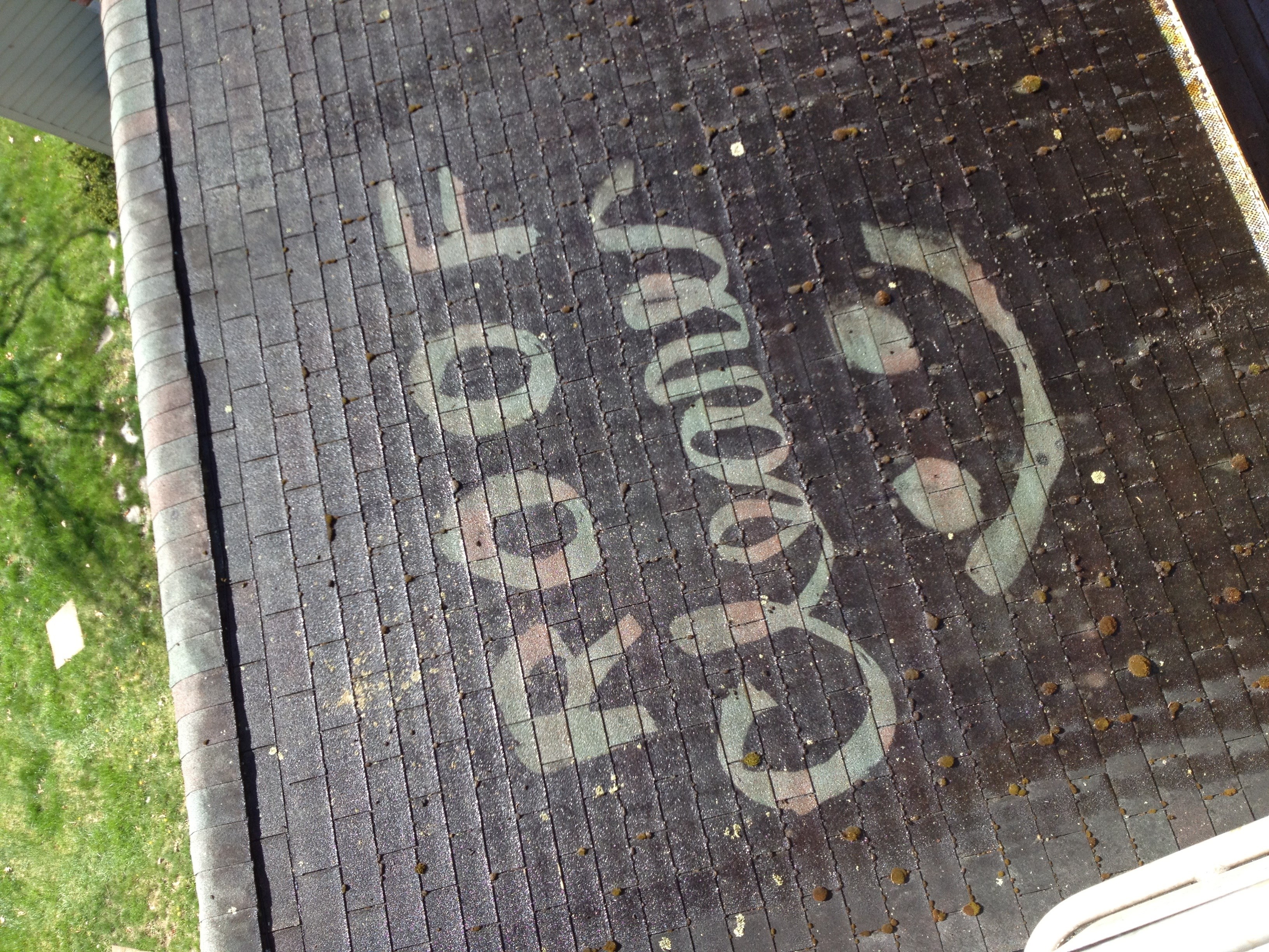 Logo for The Roof Cleaner Inc