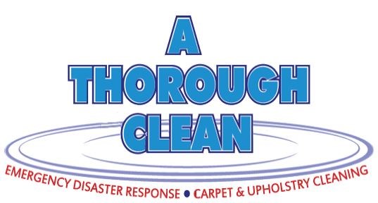Avatar for A Thorough Clean