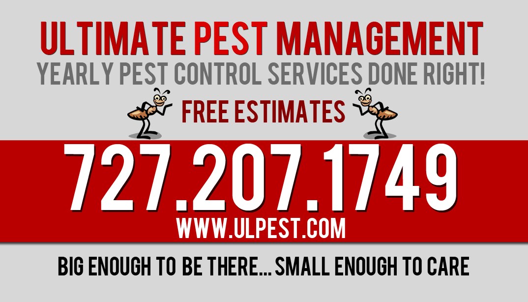 Avatar for Ultimate Pest Management