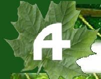 A-PLUS PEST CONTROL, INC. logo