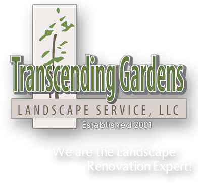 Avatar for Transcending Gardens LLC
