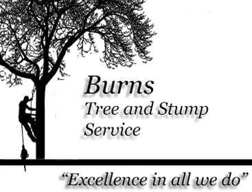 Avatar for Burns Tree Service