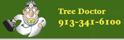 Tree Doctor logo