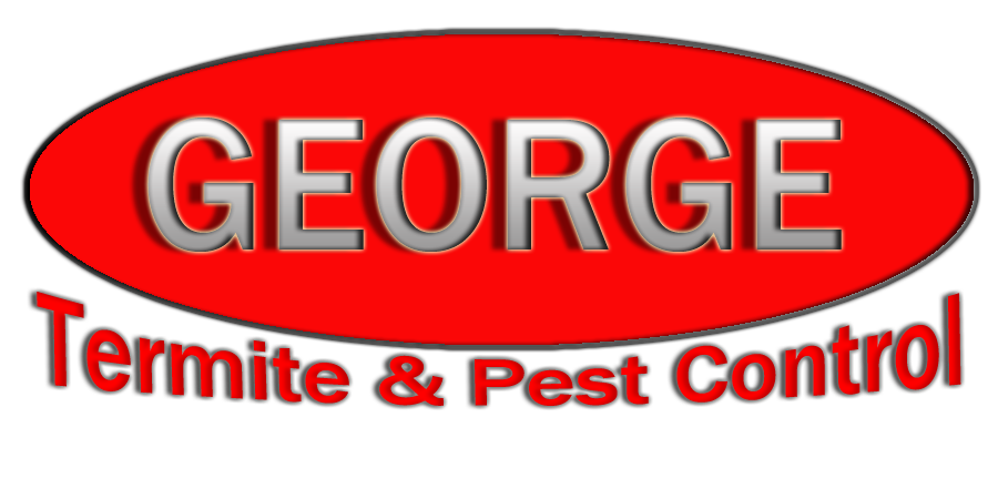 Avatar for GEORGE TERMITE & PEST CONTROL
