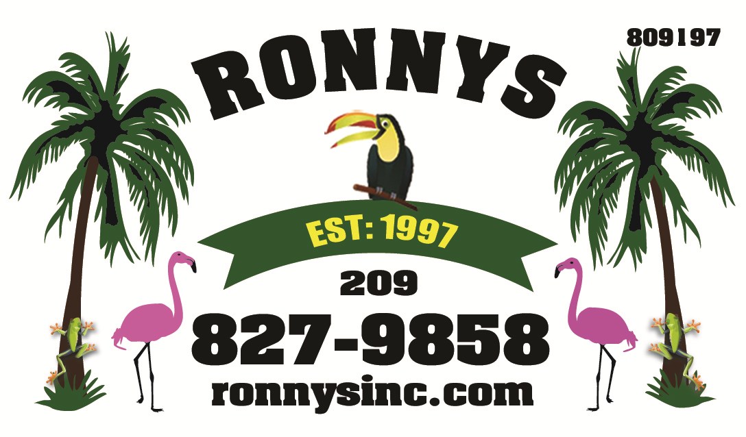 Avatar for Ronnys Inc.