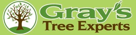 Logo for Gray's Tree Experts