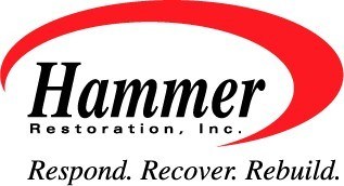Avatar for Hammer Restoration Inc