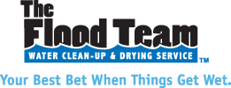 The Flood Team logo